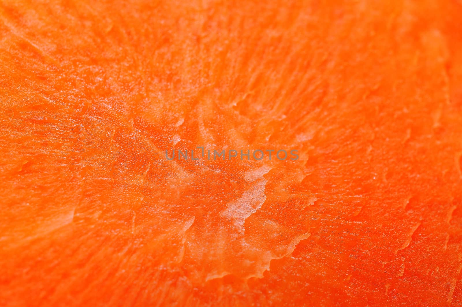Carrot cut shows of pattern detail. by sayhmog