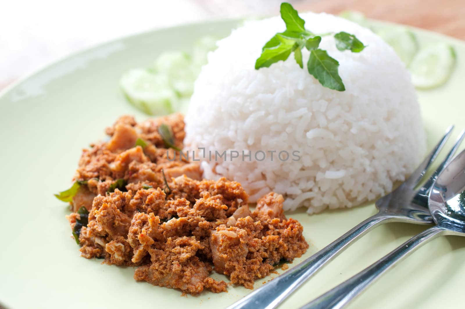 chicken dry curry on green dish  by sayhmog
