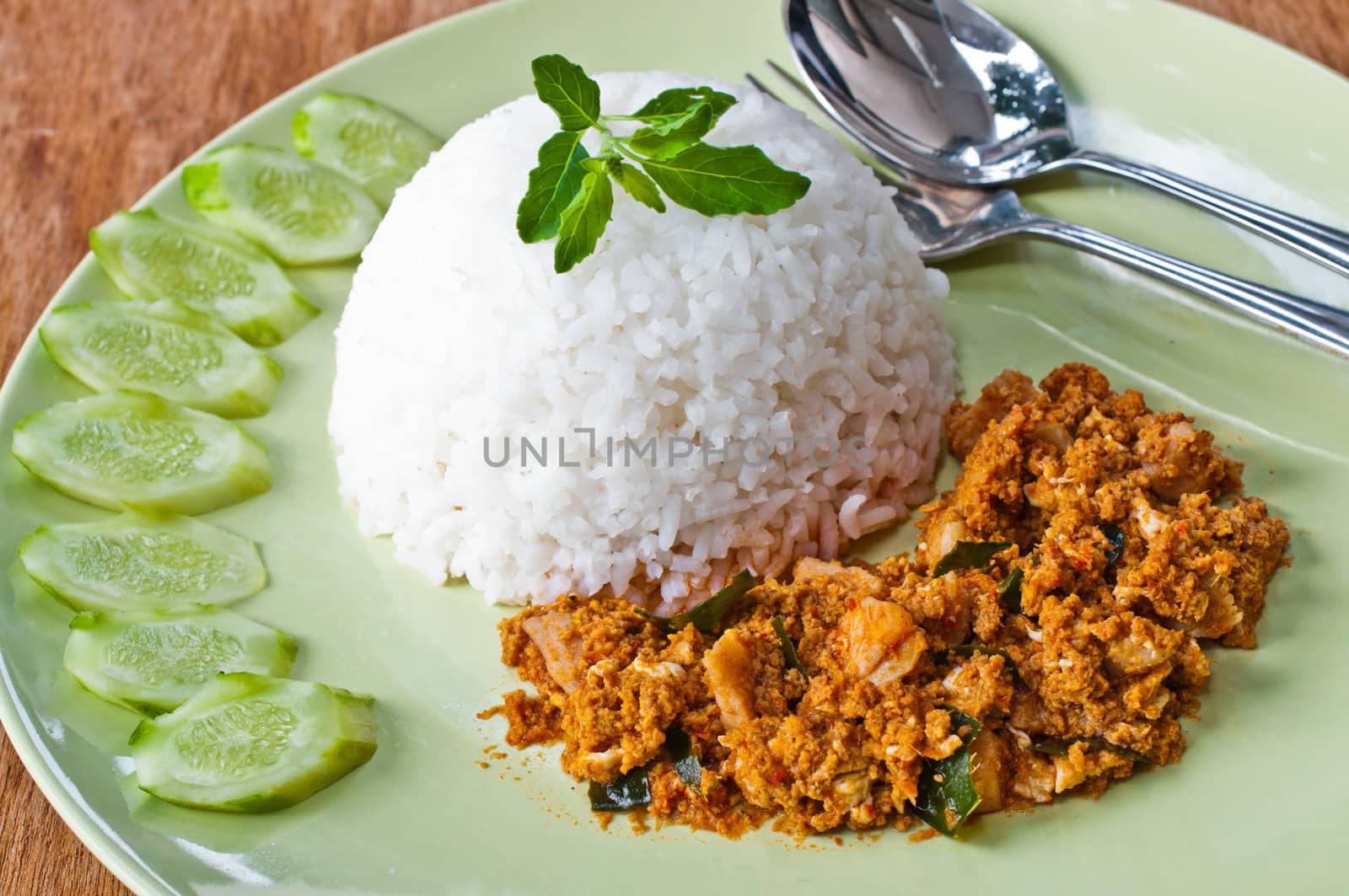 chicken dry curry on green dish by sayhmog