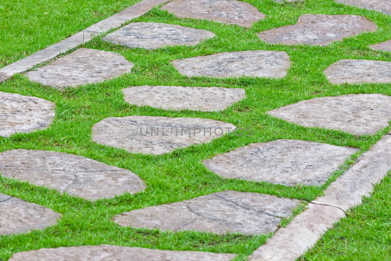 stone path on green grass by tungphoto