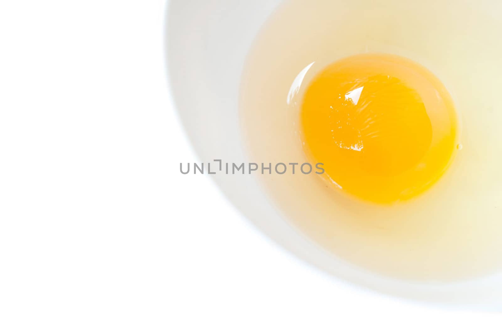 egg yolk isolate