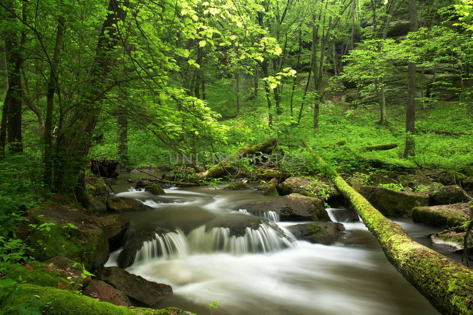 An image of a waterfall in spring forest