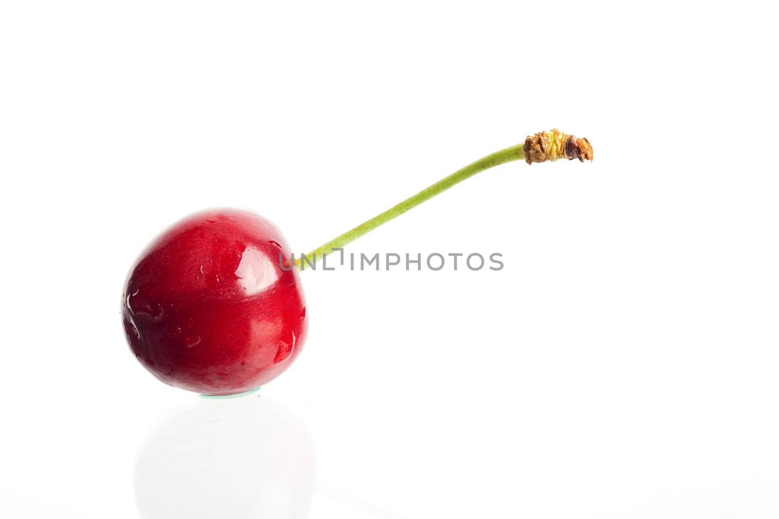 Red cherry on white by velkol