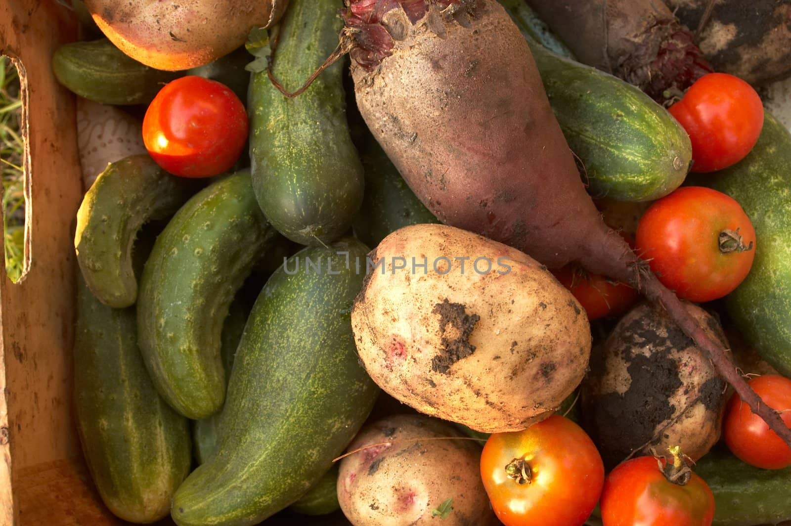 Different vegetables (beetroot, potato, tomatoes, cucumbers)