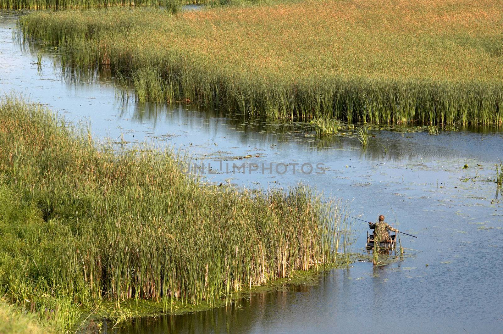 A fisherman in a boat amongst of rush