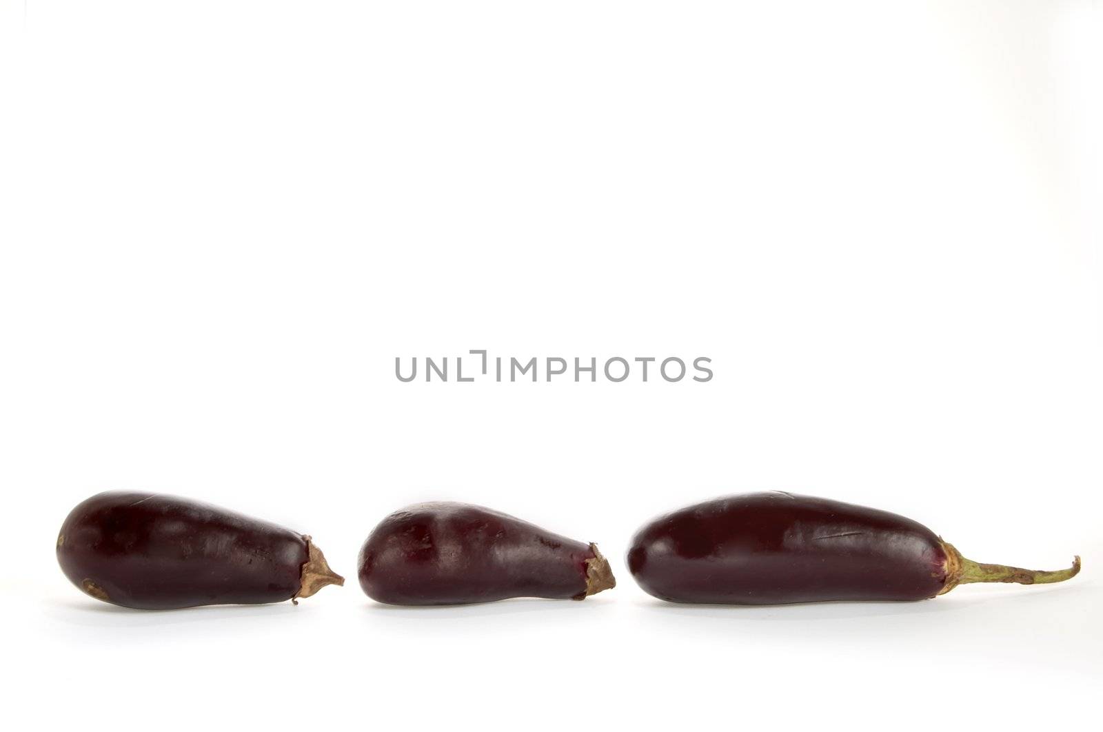 Eggplants by velkol