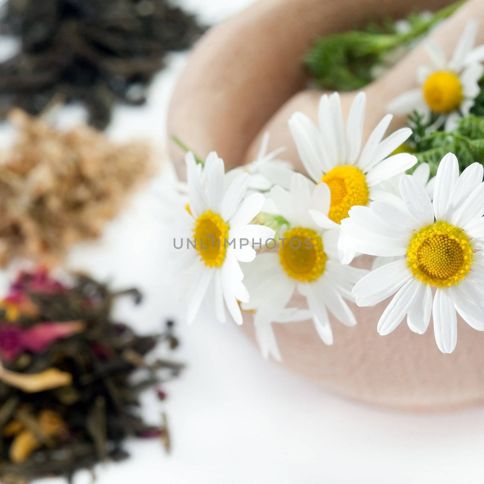An image of beautiful white flowers and tea