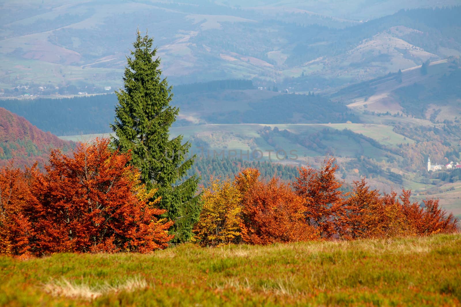 An image of multicoloured autumn in the mountains