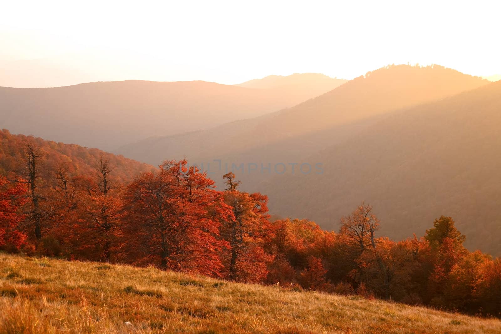 Sunset in mountain by velkol