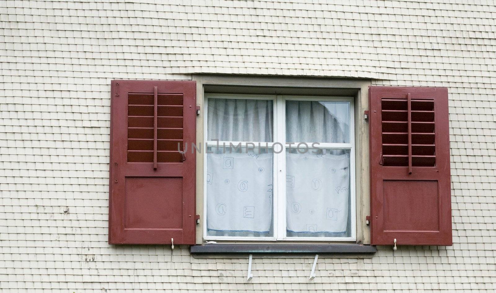 Window with blinds by velkol