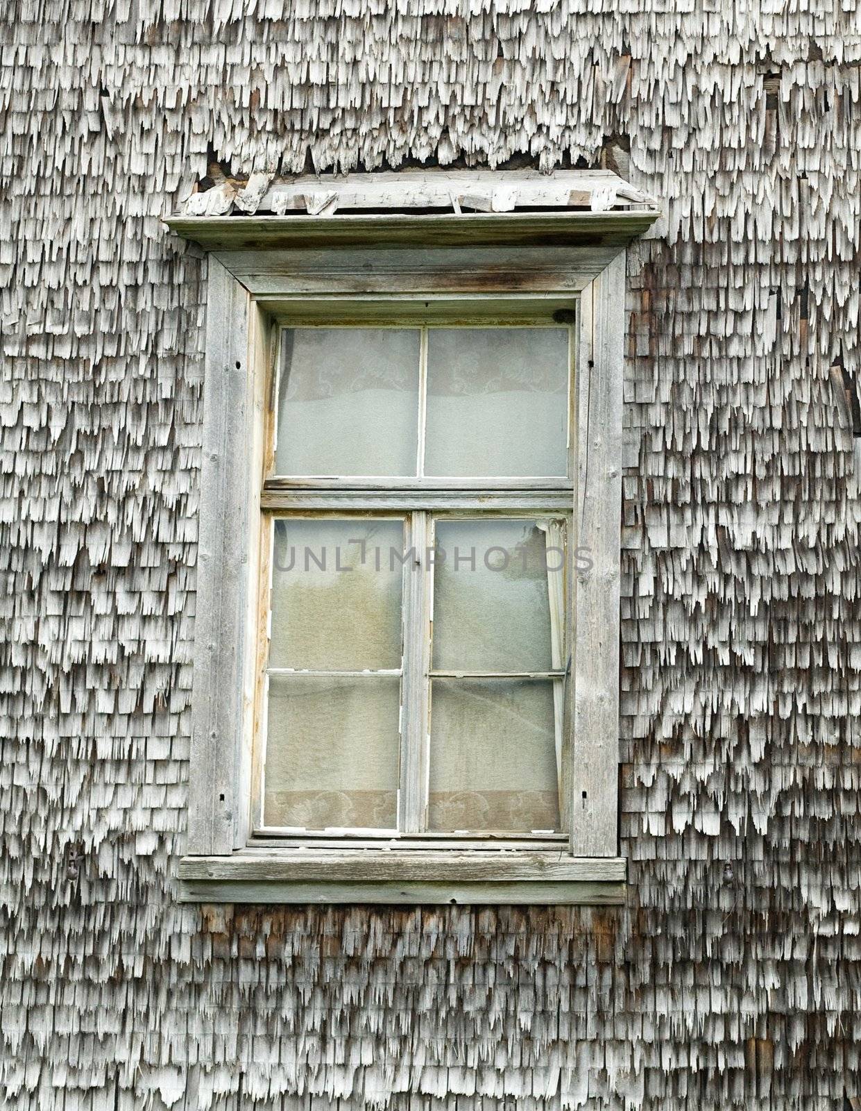 Old window by velkol