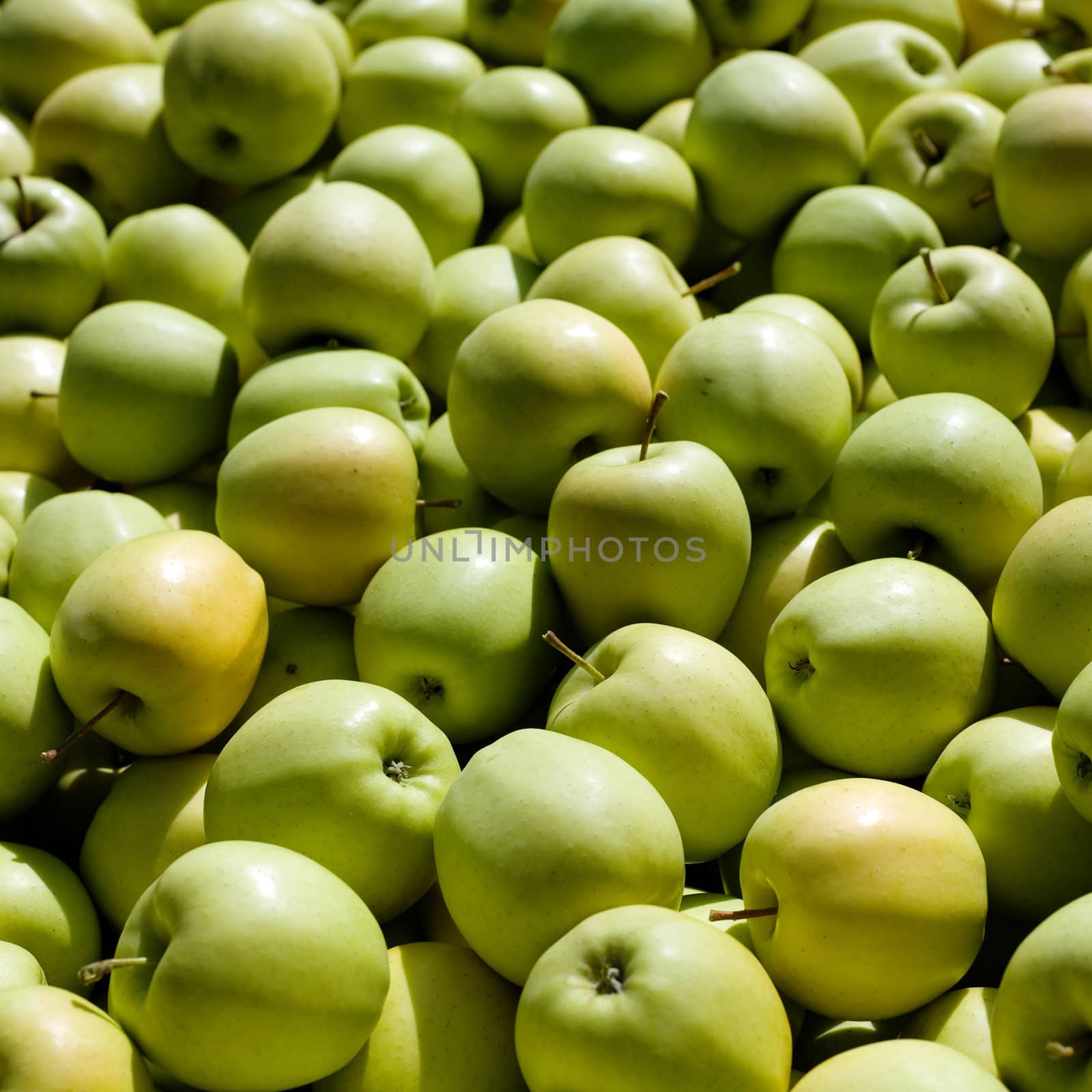 An image of a crop of green apples