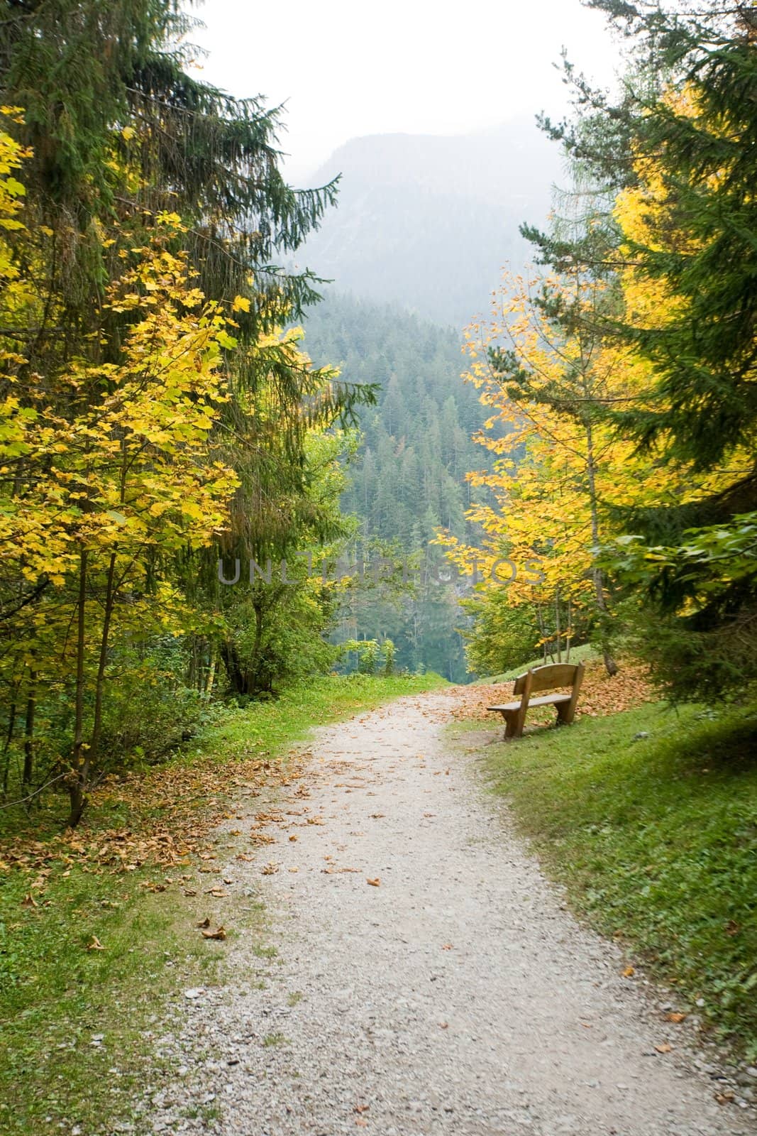 Park by velkol