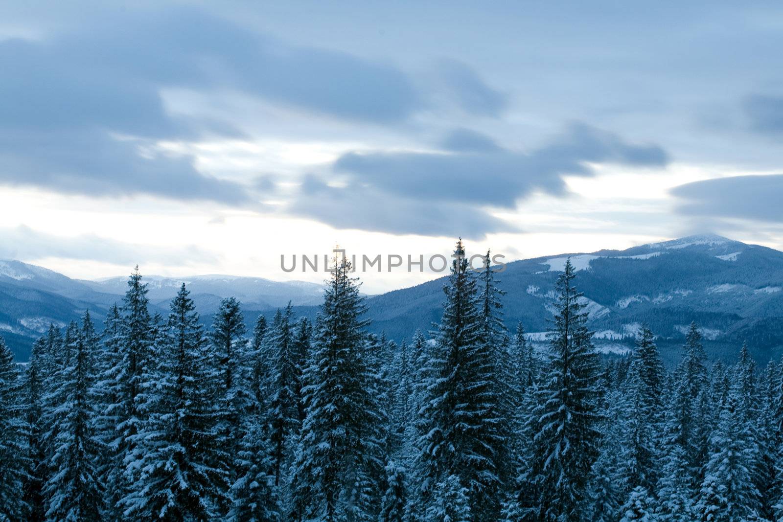 An image of winter in the mountains