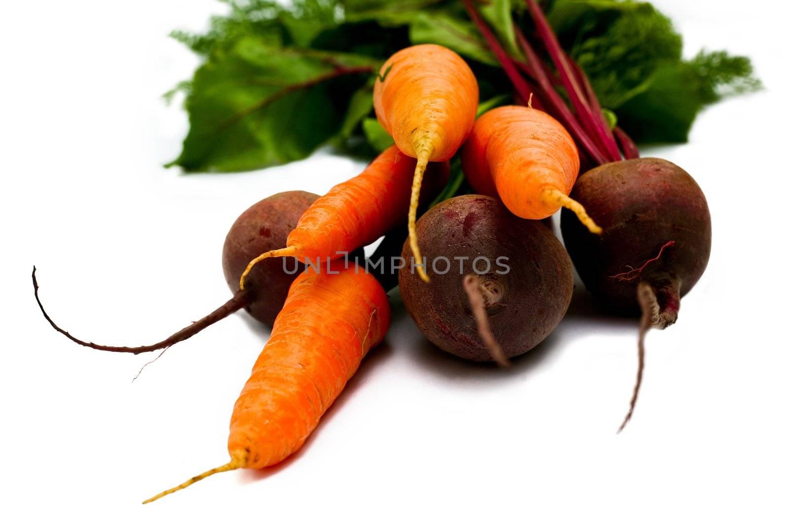 An image of fresh beets and carrots with green leaves