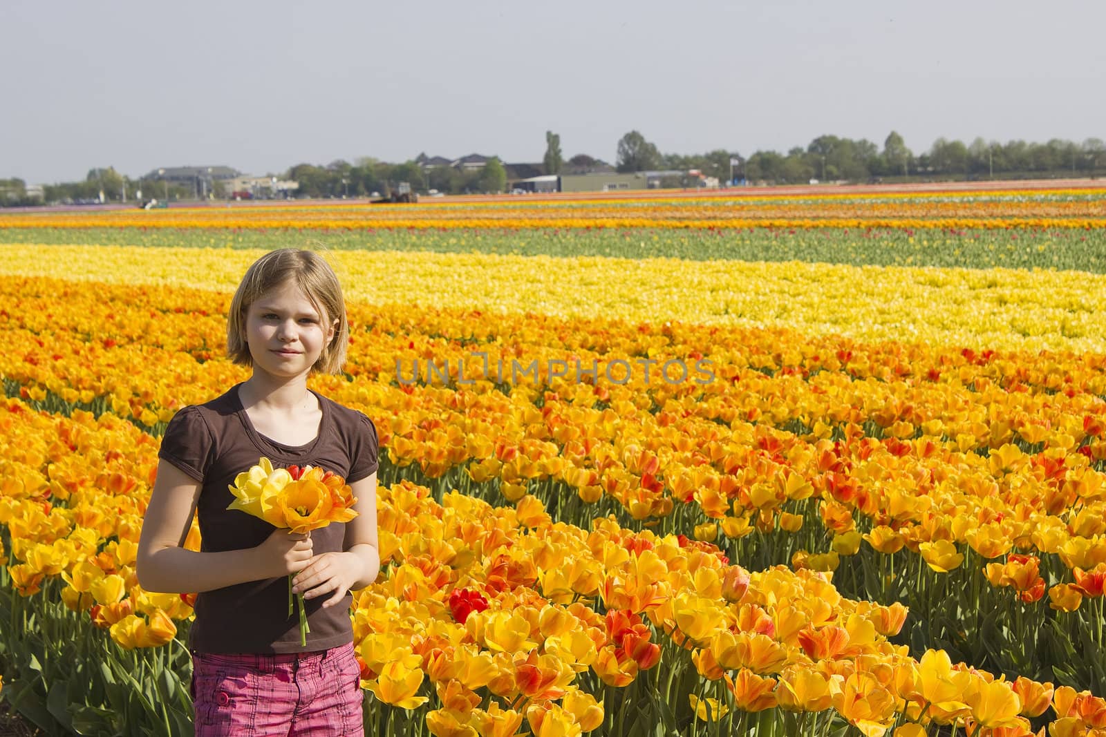 little girl in tulips field 