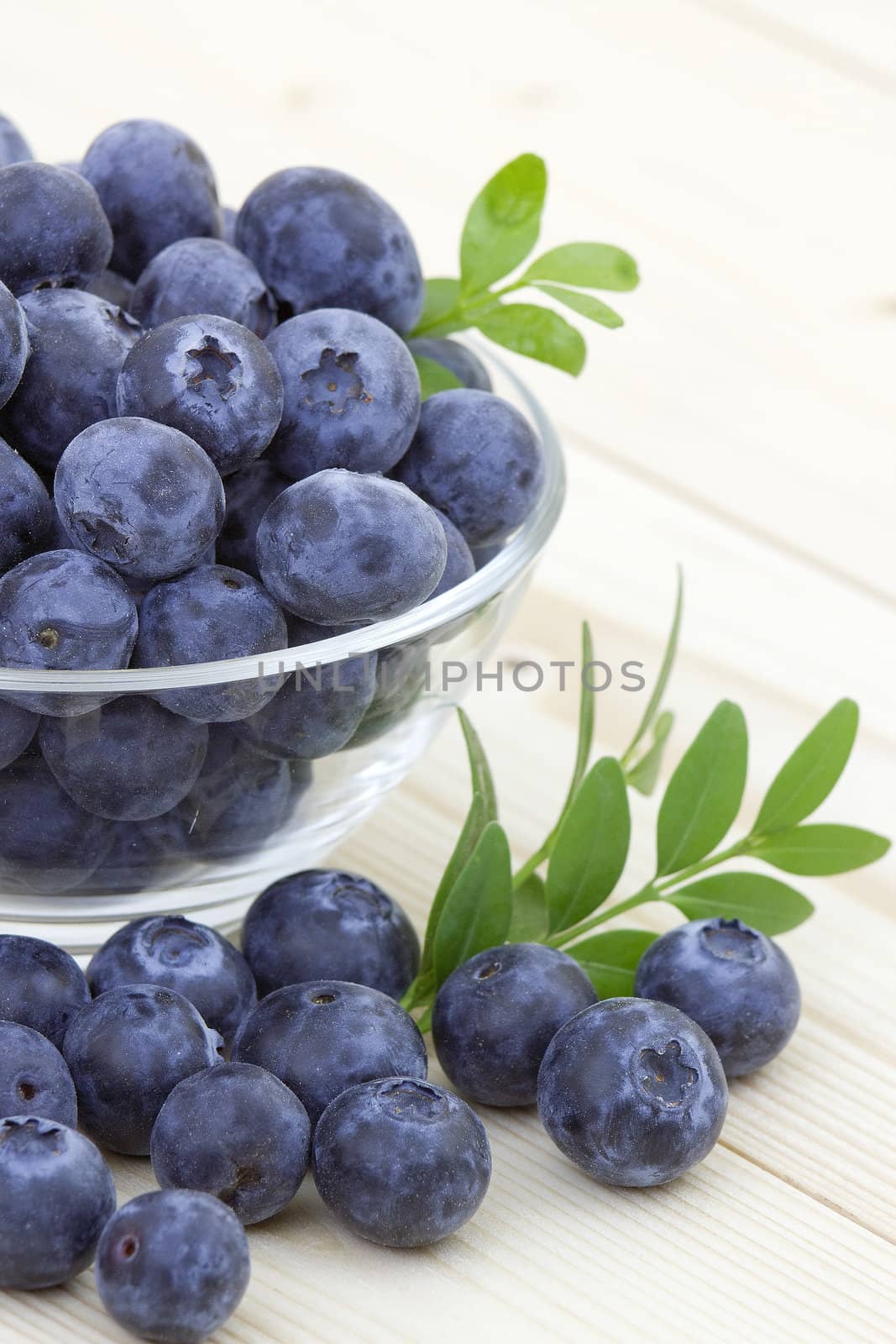fresh blueberries in a bowl by miradrozdowski