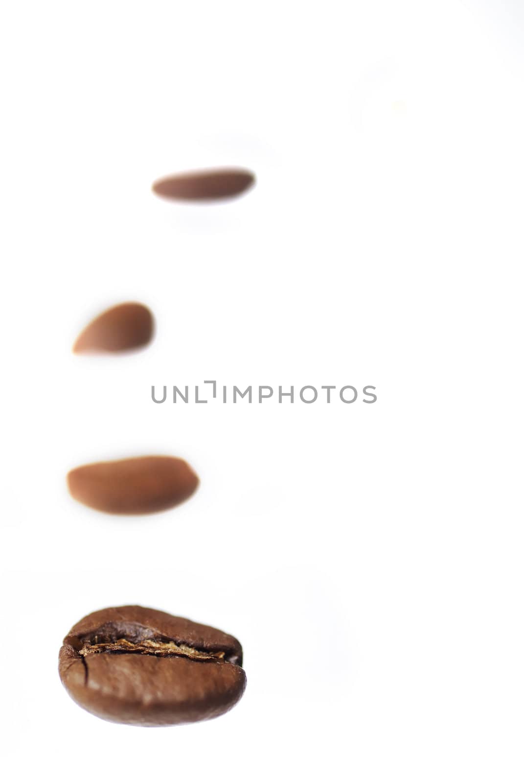 Row of arabica coffee beans on white background.