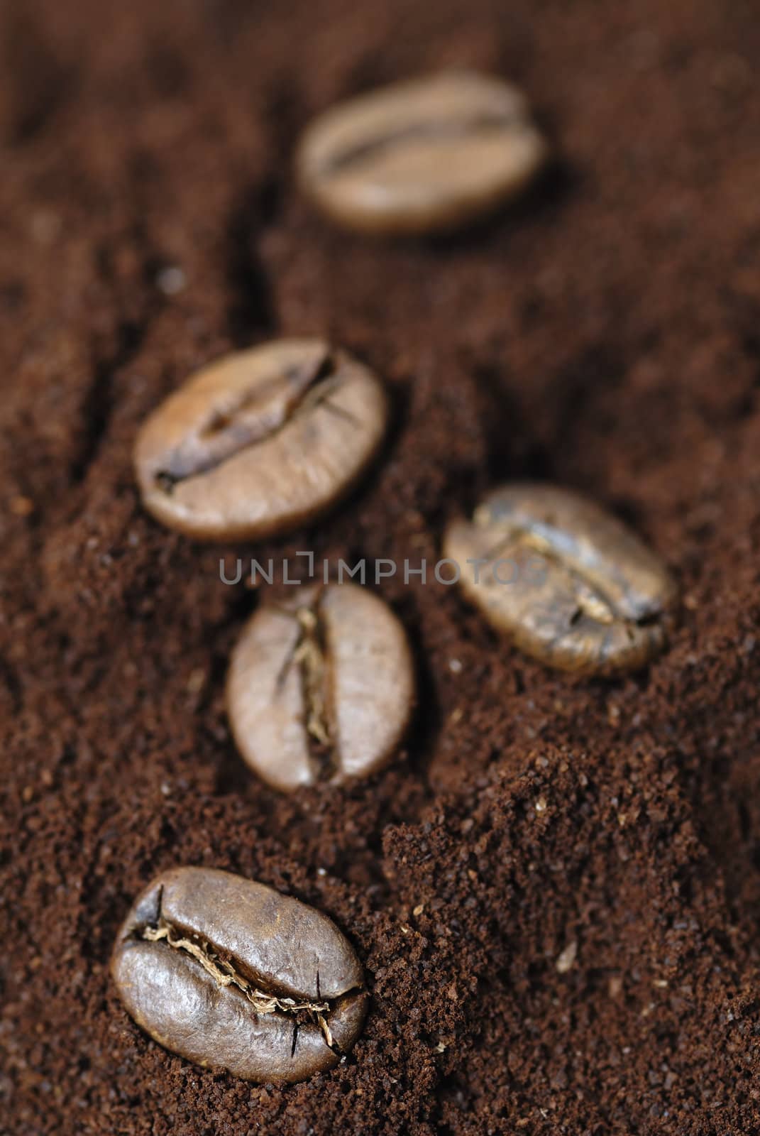 Five coffee beans. Focus on bottom left bean.