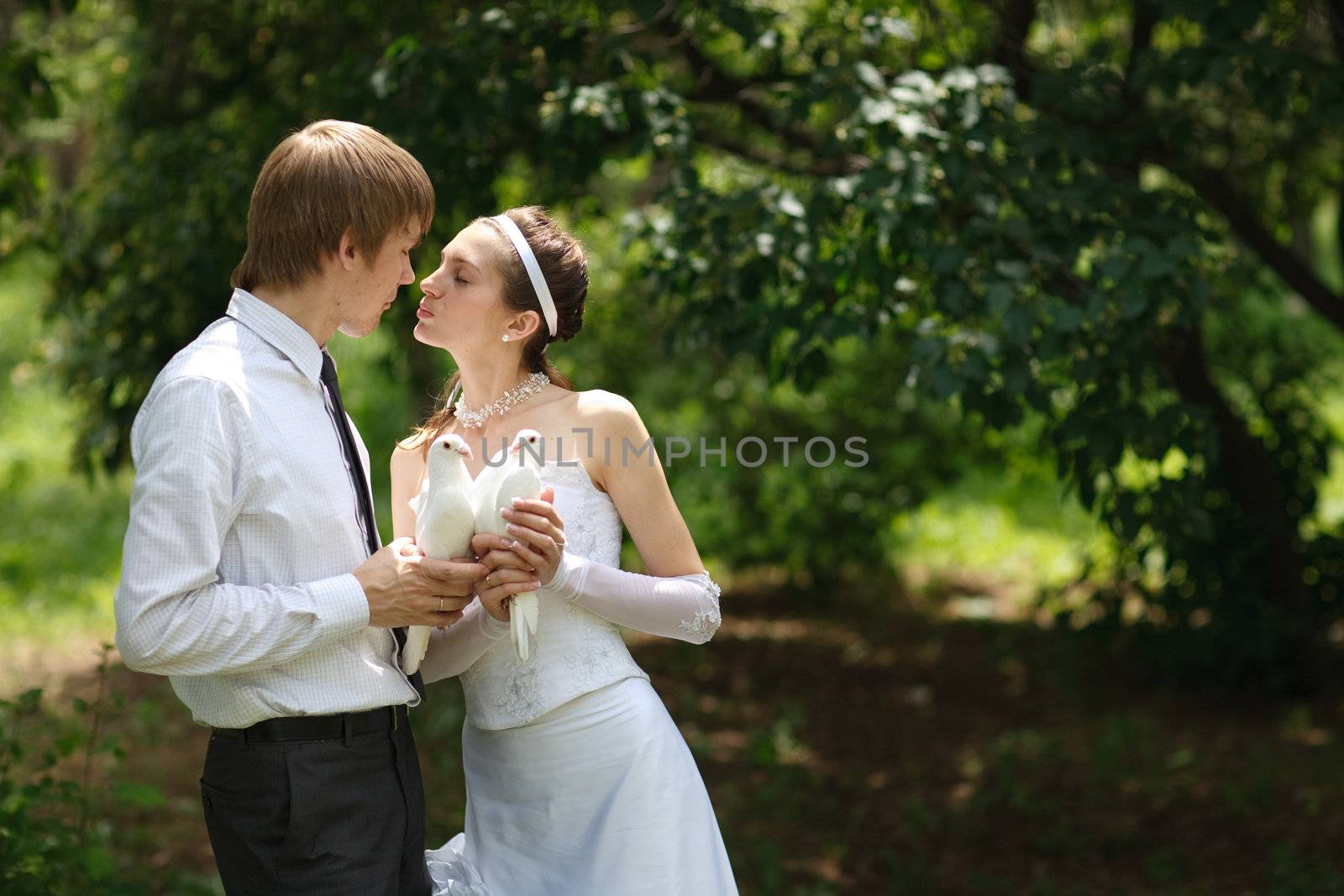 bride and groom with pigeons