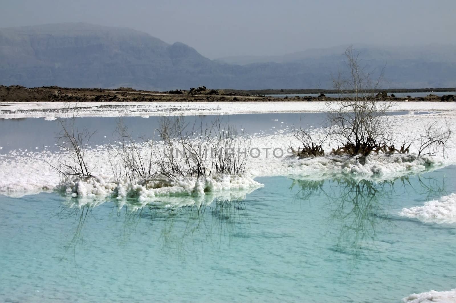 salt deposits in the Dead Sea by irisphoto4