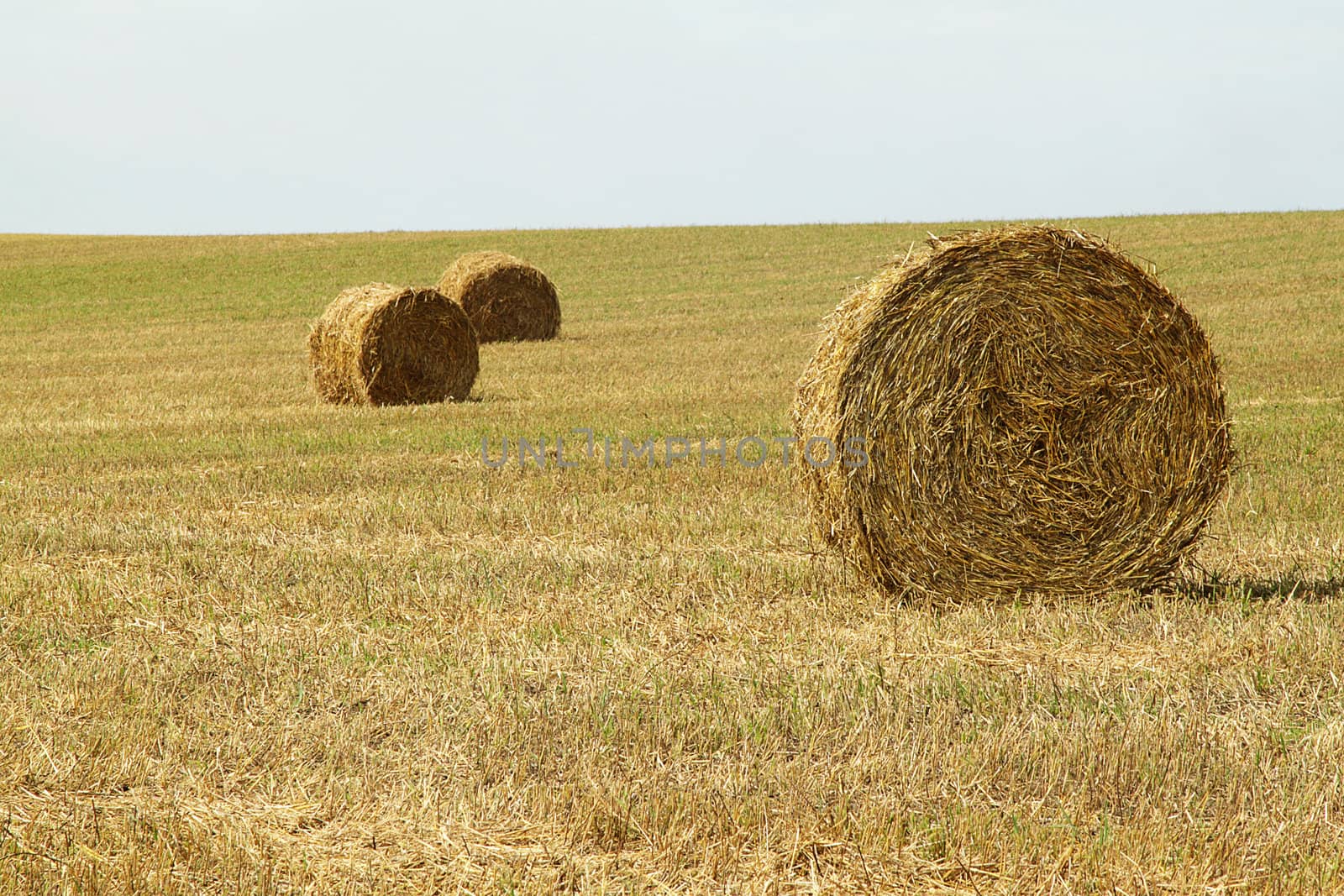 A group of haystacks on a field on sunny day