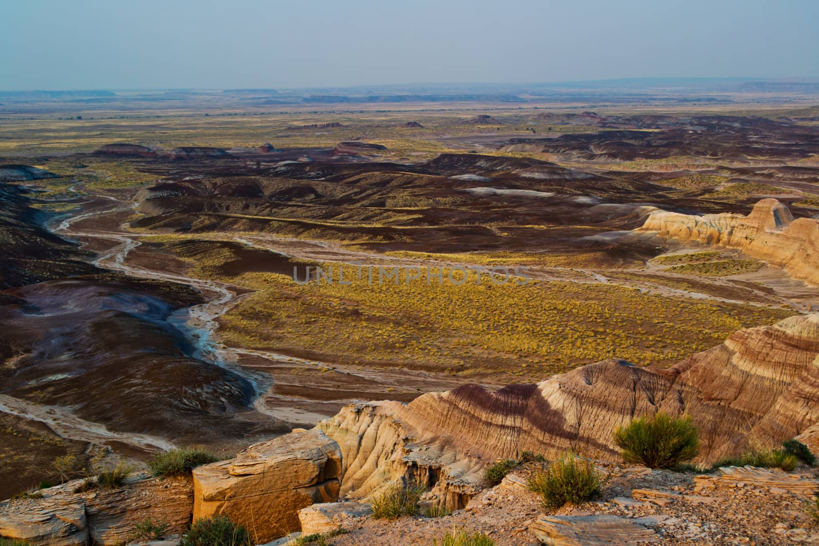 The beautiful combination of colors of the yellow flowers against the sand and rock formation of the valley floor just before sunset made for a peaceful scene.