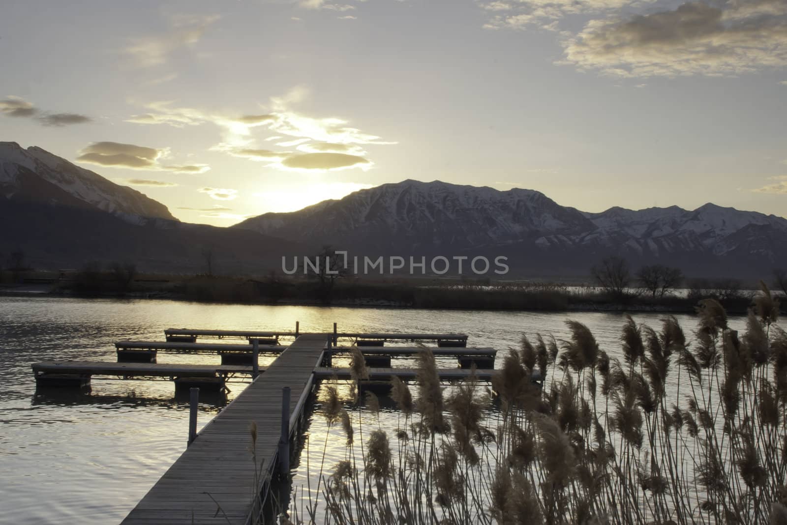 lake dock in the early morning with the common reed in the foreground and snow capped mountains and a sunrise in the background