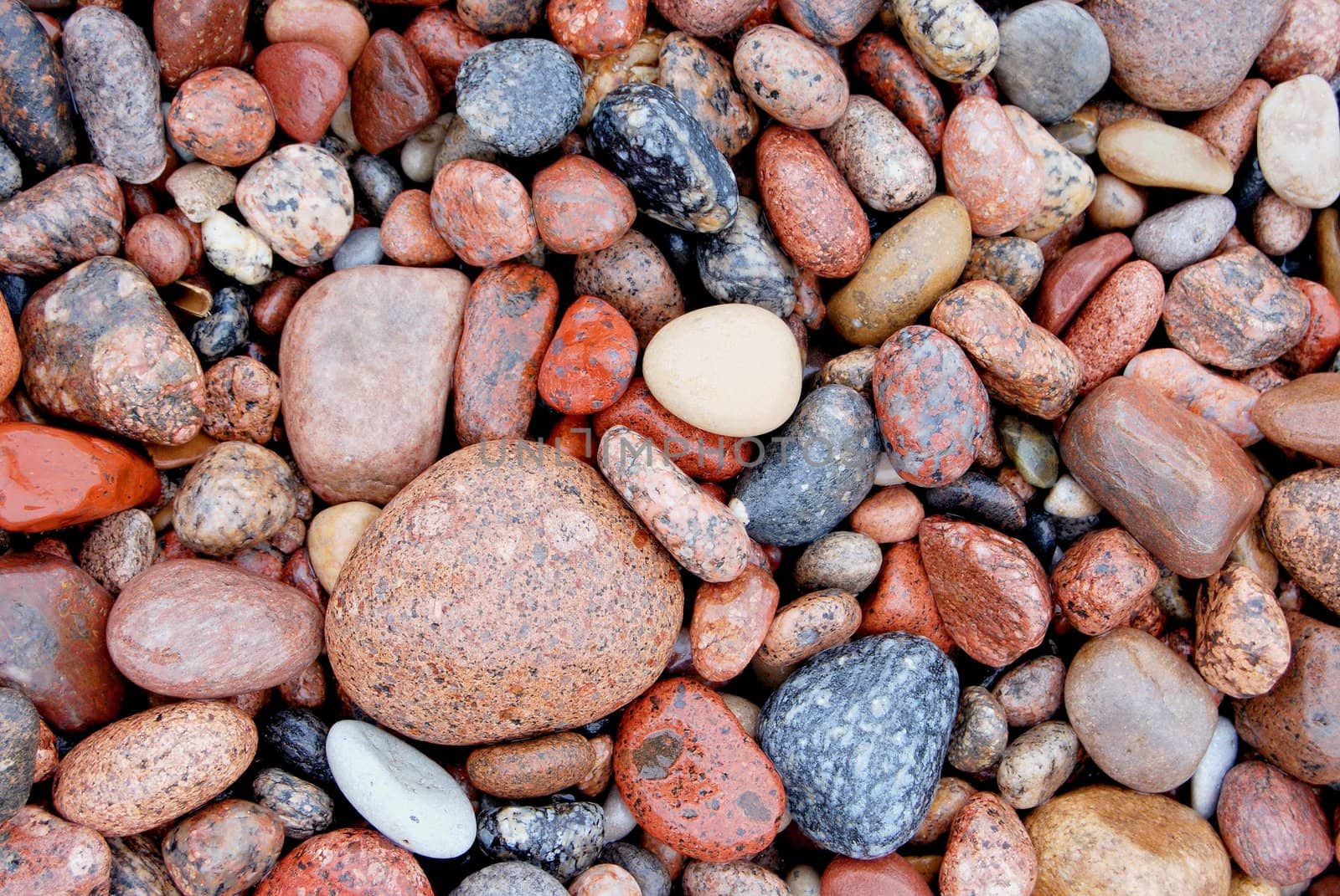 Closeup of many little stones on the coast of baltic sea