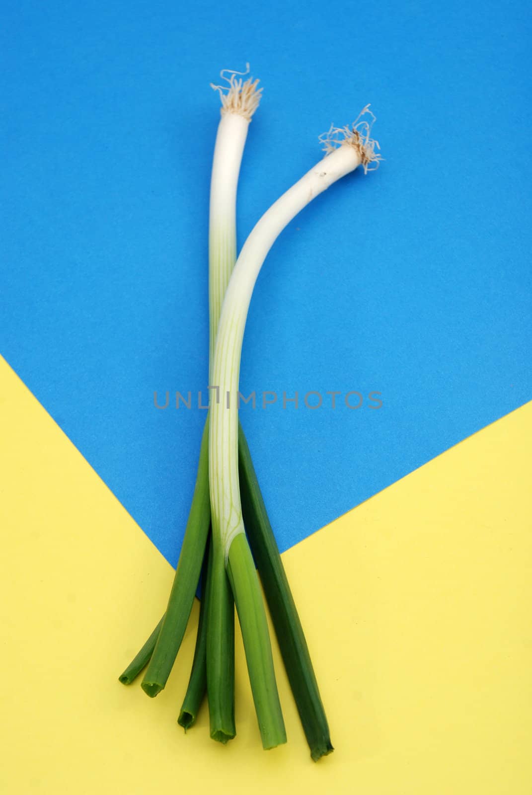 spring onion