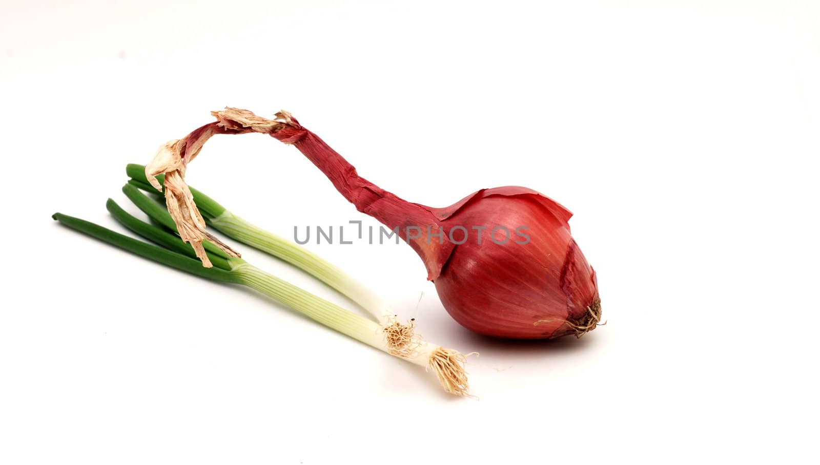 fruits and  vegs