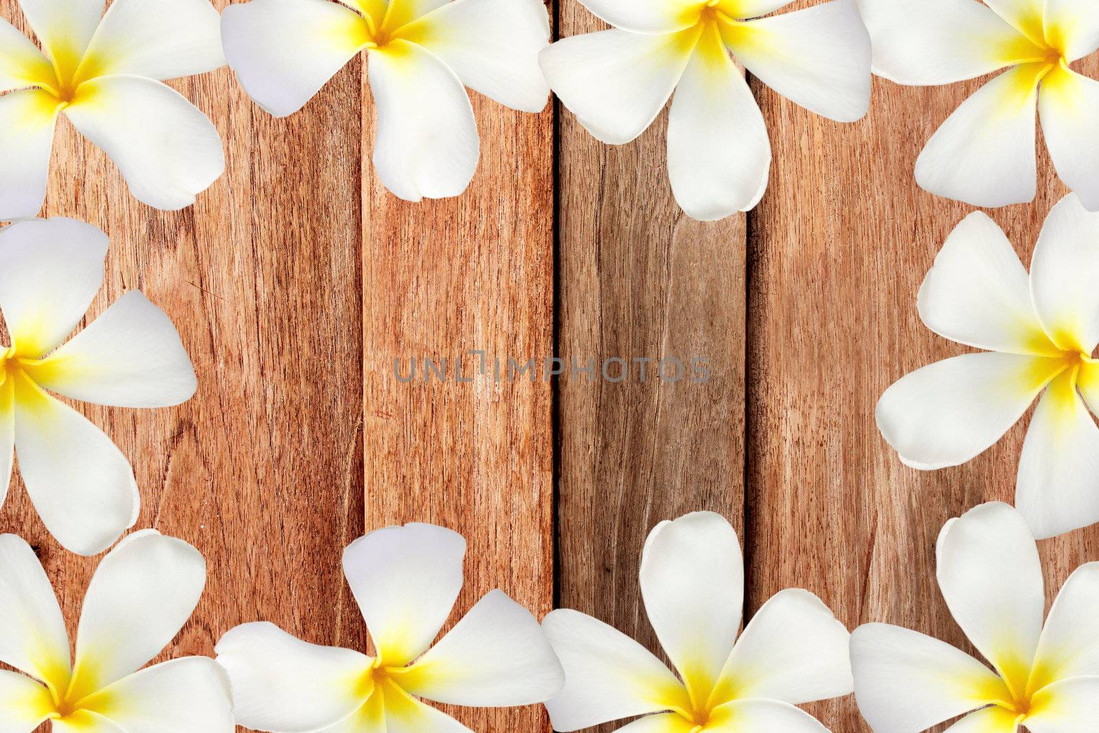 Old wood plank brown texture for background 