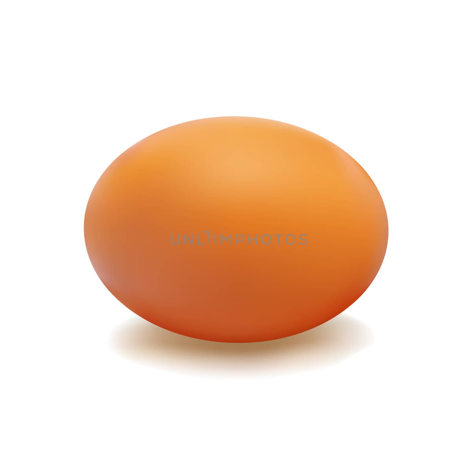 Brown egg with a light shadow on white background