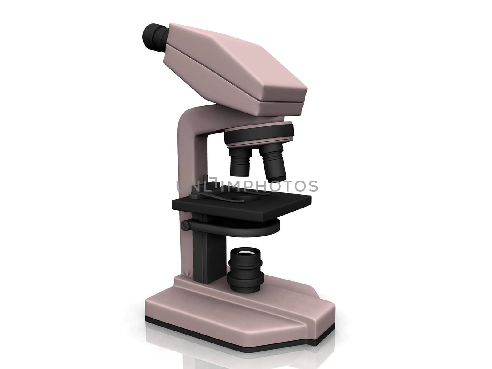 the microscope