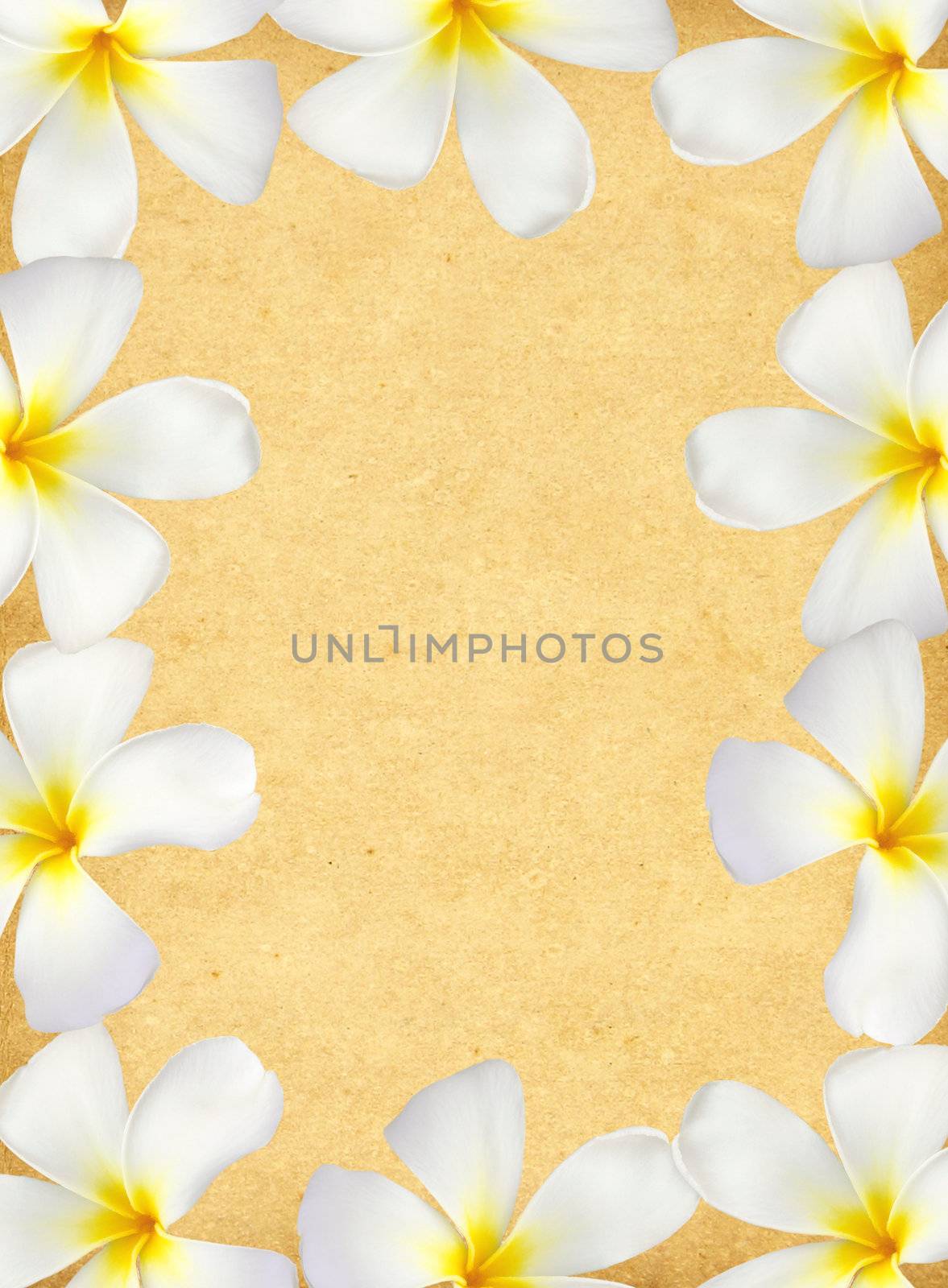 Frangipani flower frame on old grunge paper 