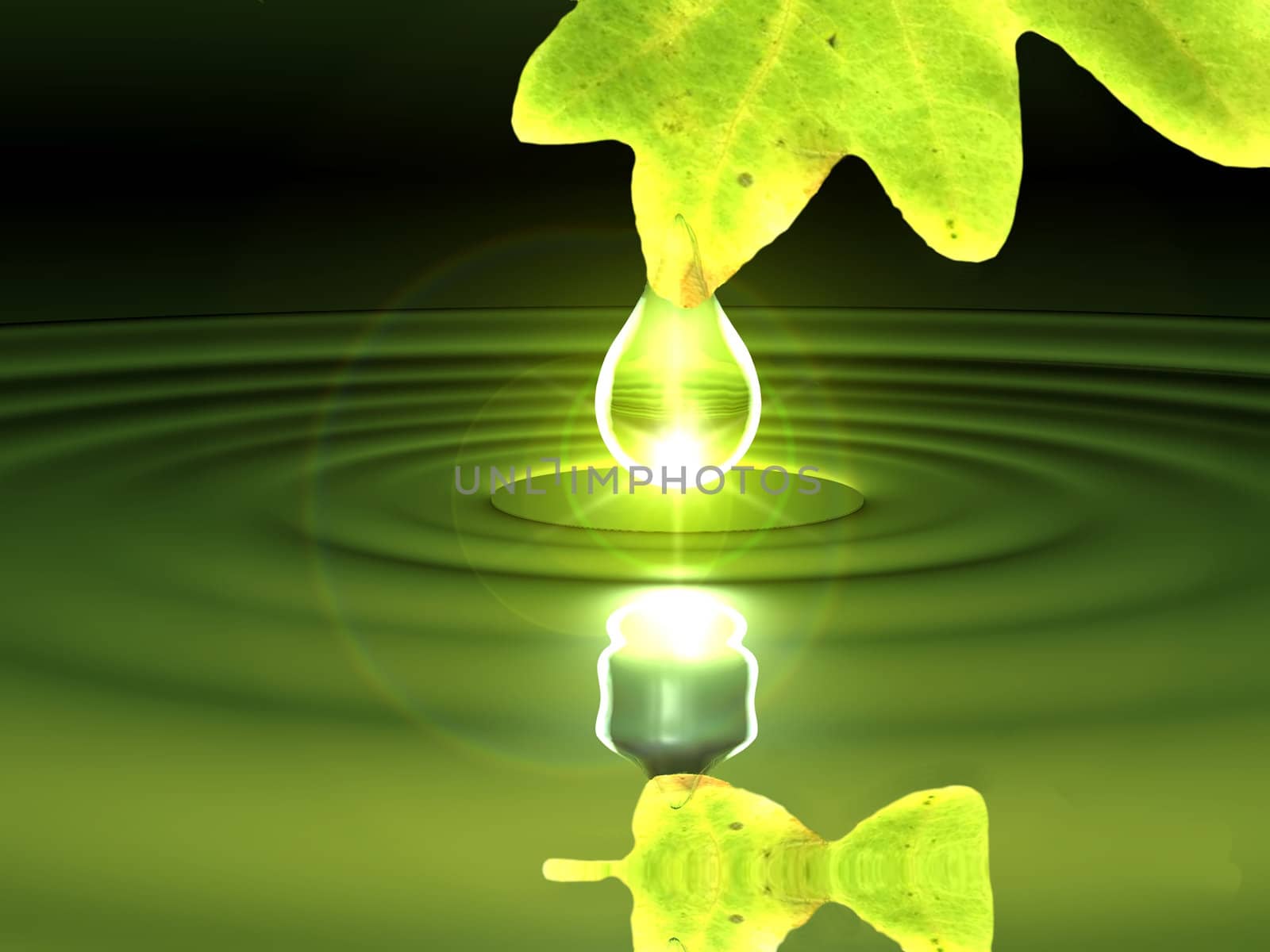 the leaf and the drop by njaj