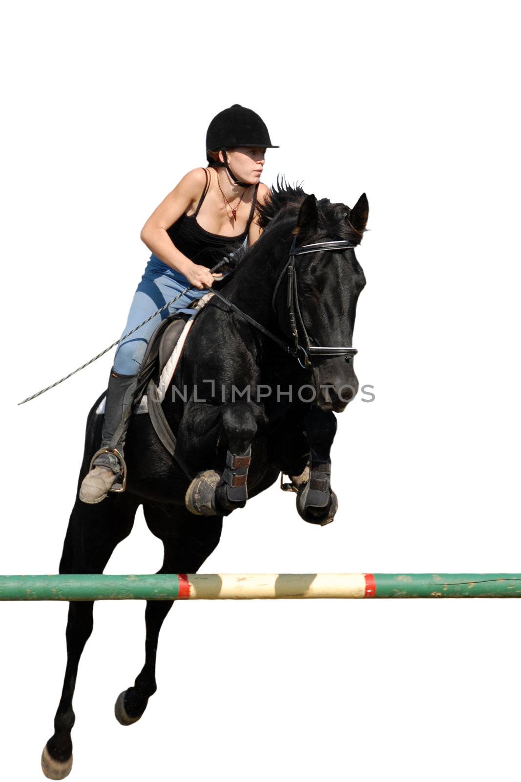 young teenager and her black horse in training of jumping competition

horse, teen, teenager, woman, stallion, black, jump, jumping, competition, training, horseback riding, sport, girl, child, animal, rural, mammal, pet, risk