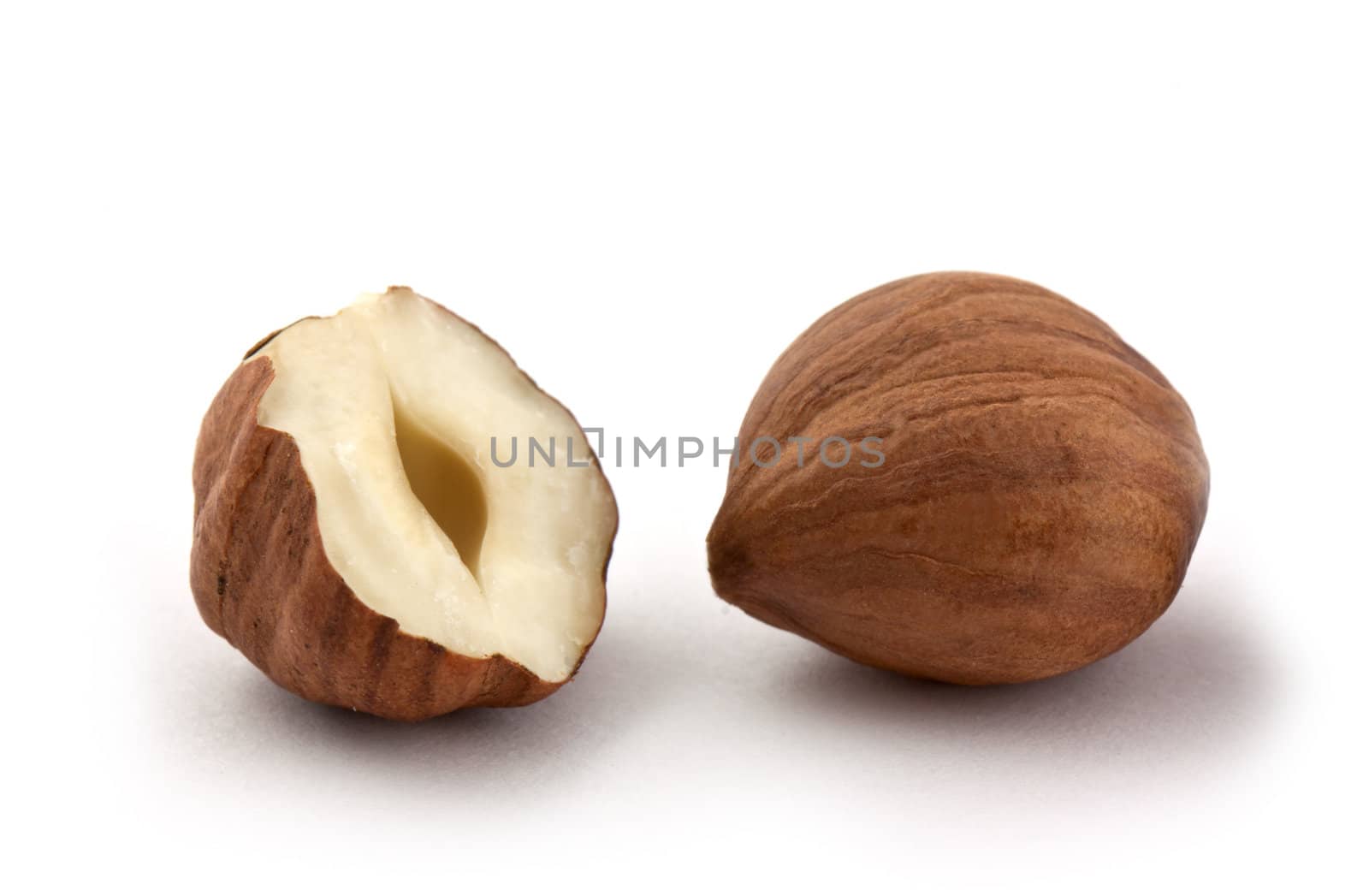 Hazel nut isolated on white background