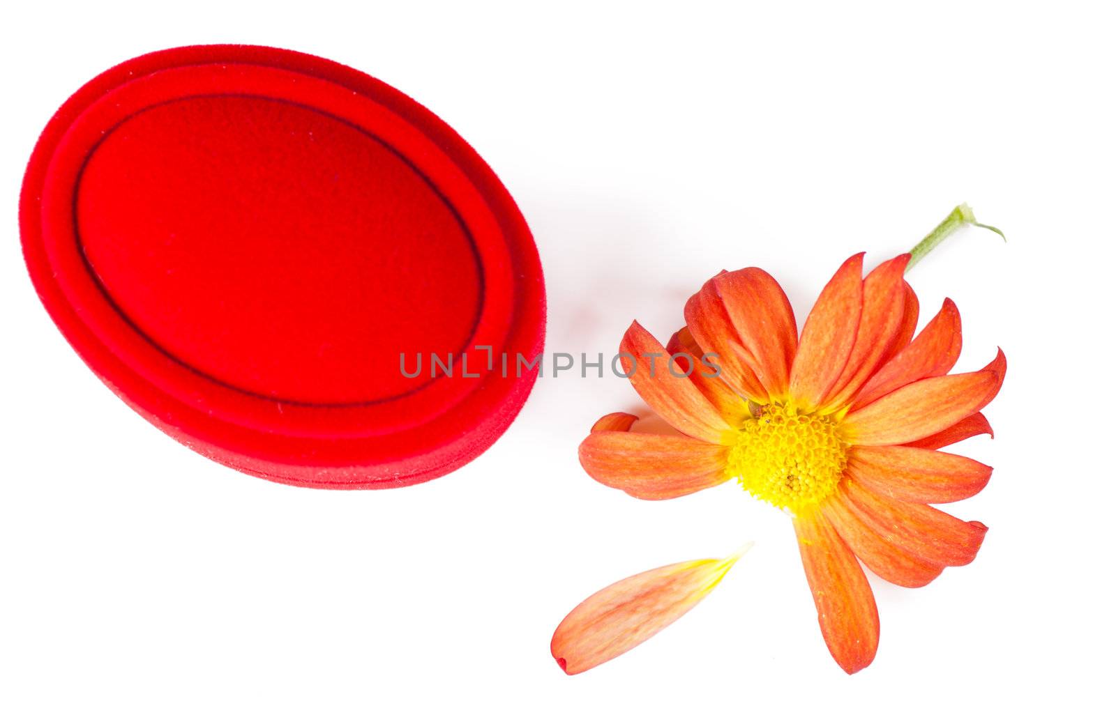 Red box and chrysanthemum without one petal