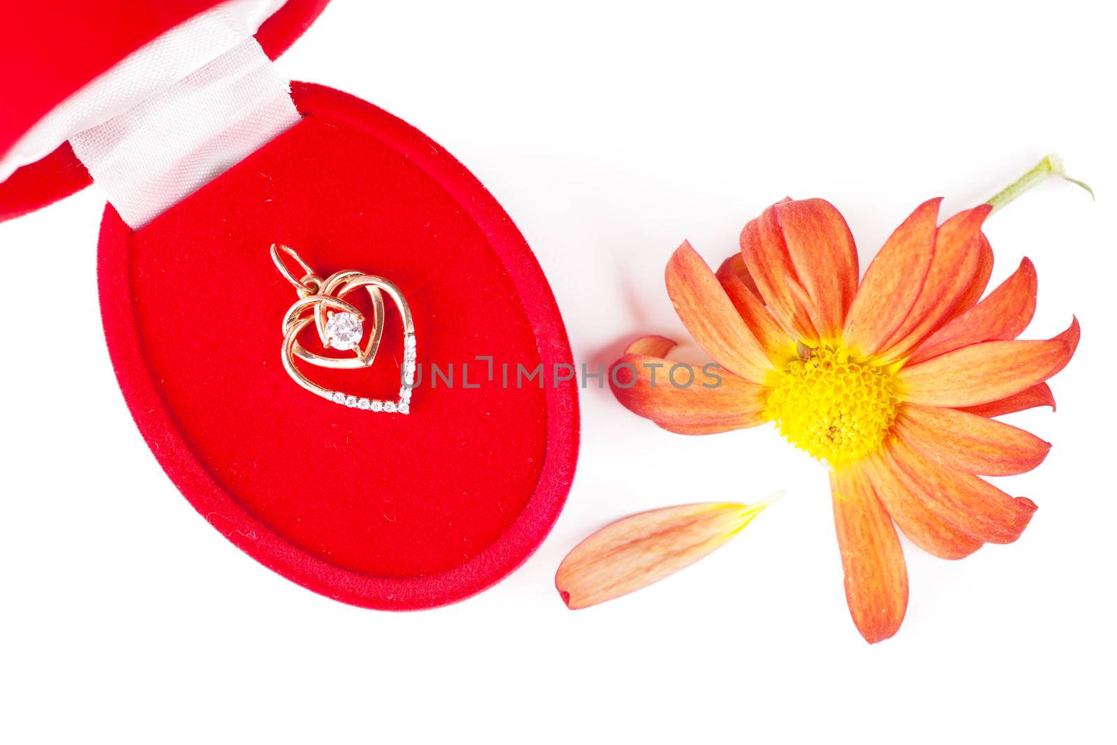 Golden pendant in a red box and chrysanthemum without one petal