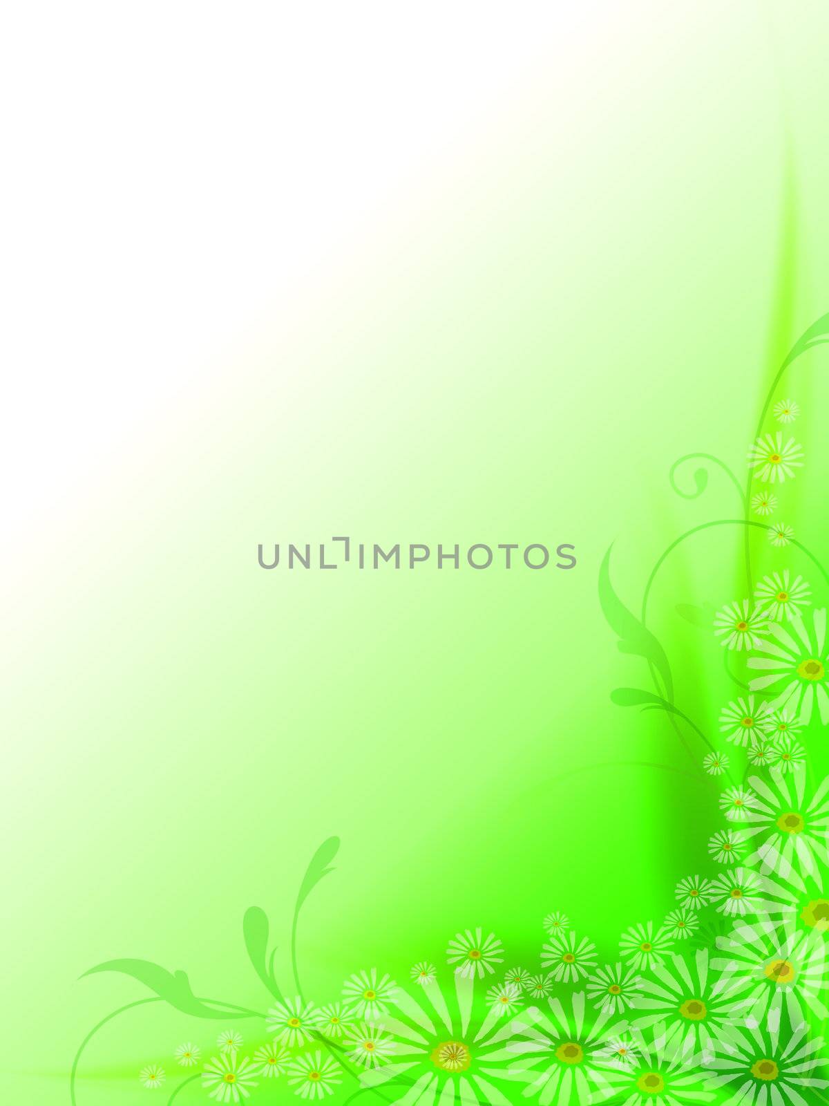 green background with abstarct curves and flowers