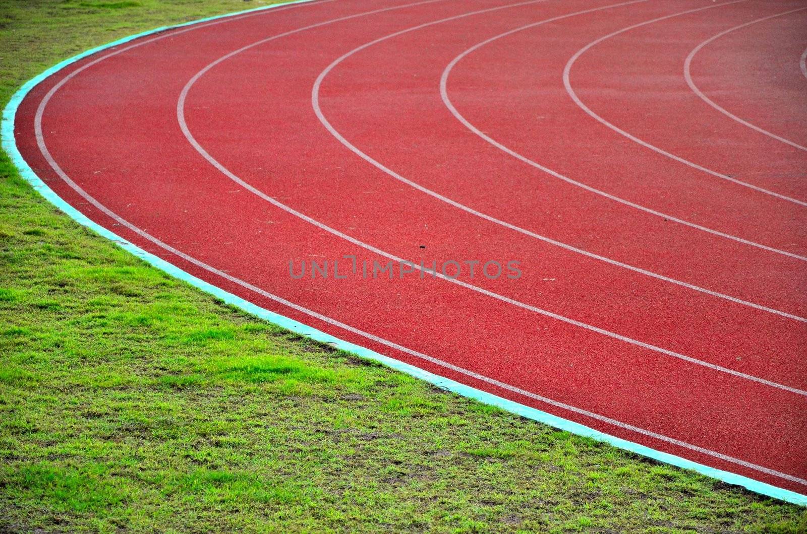 Racetrack in sport arena with grass