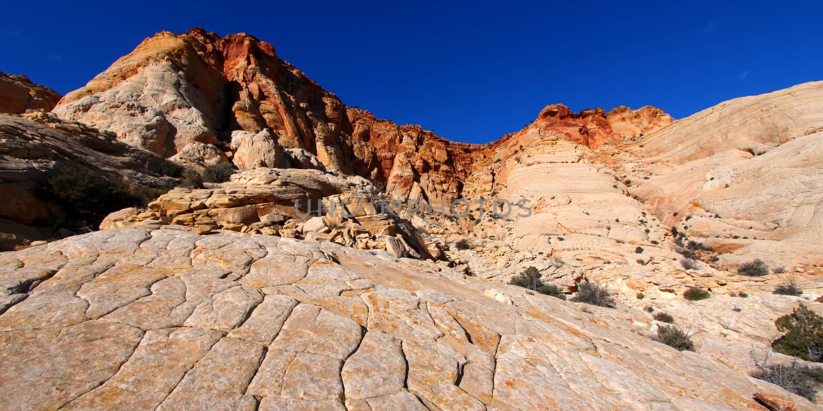 Capitol Reef Rocky Landscape by Wirepec