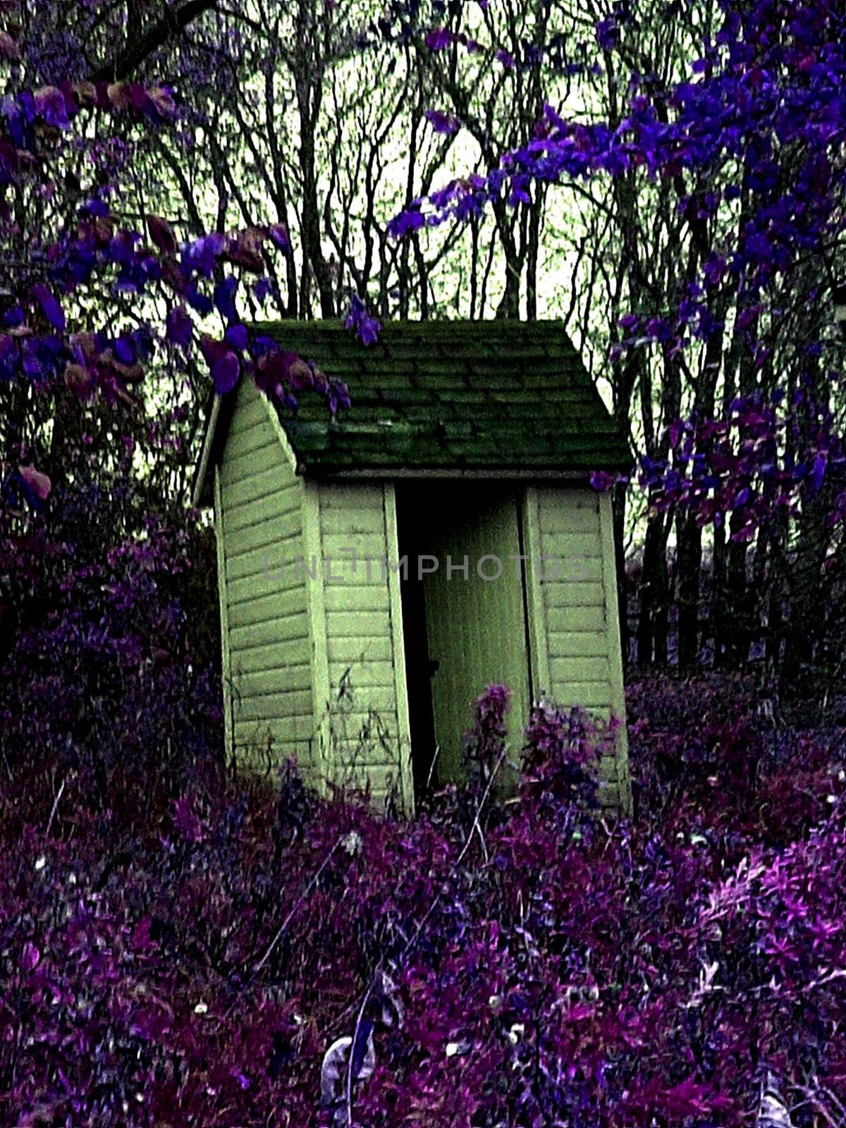 Outhouse surrounded by purple flora.