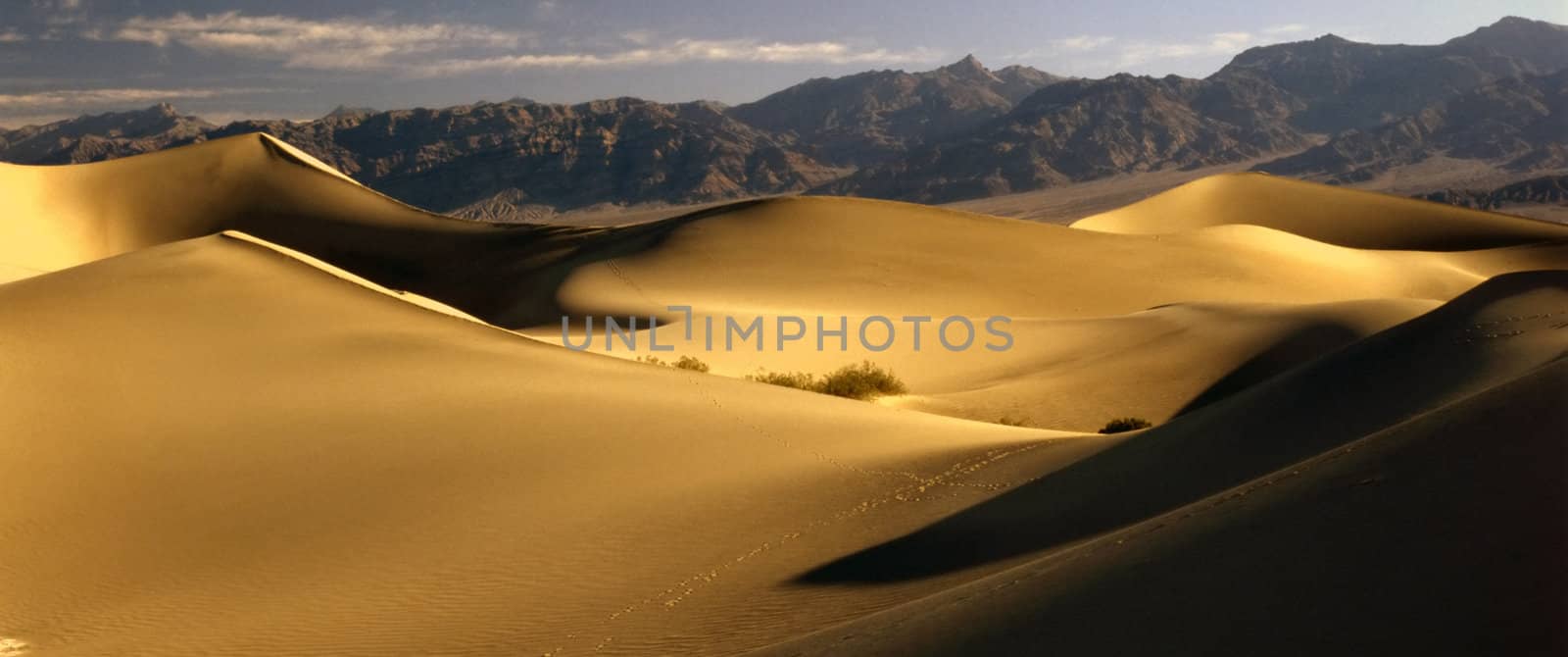 Sand Dunes in Death Valley, California