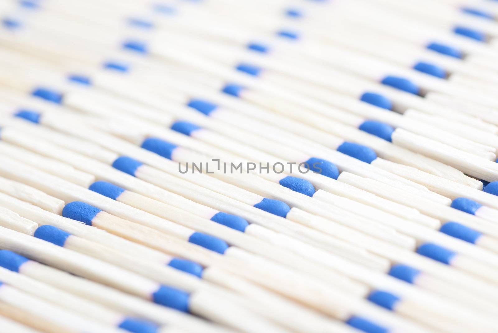 Line up of blue-headed matchsticks