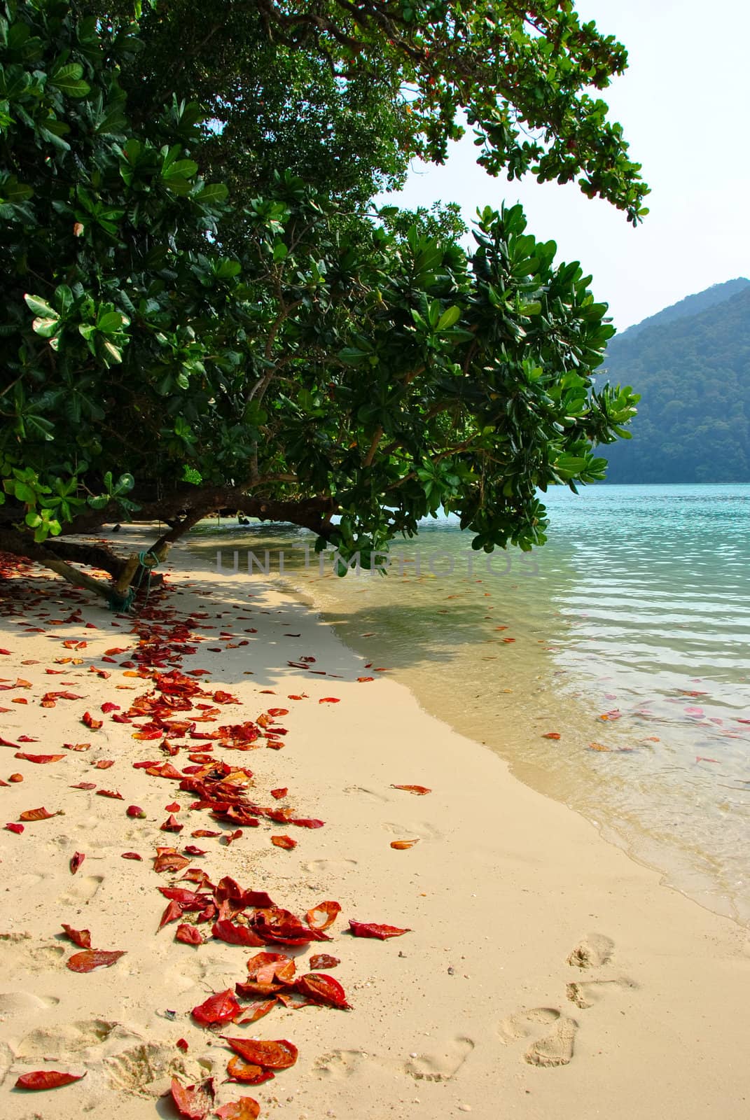 Surin island national park in Thailand