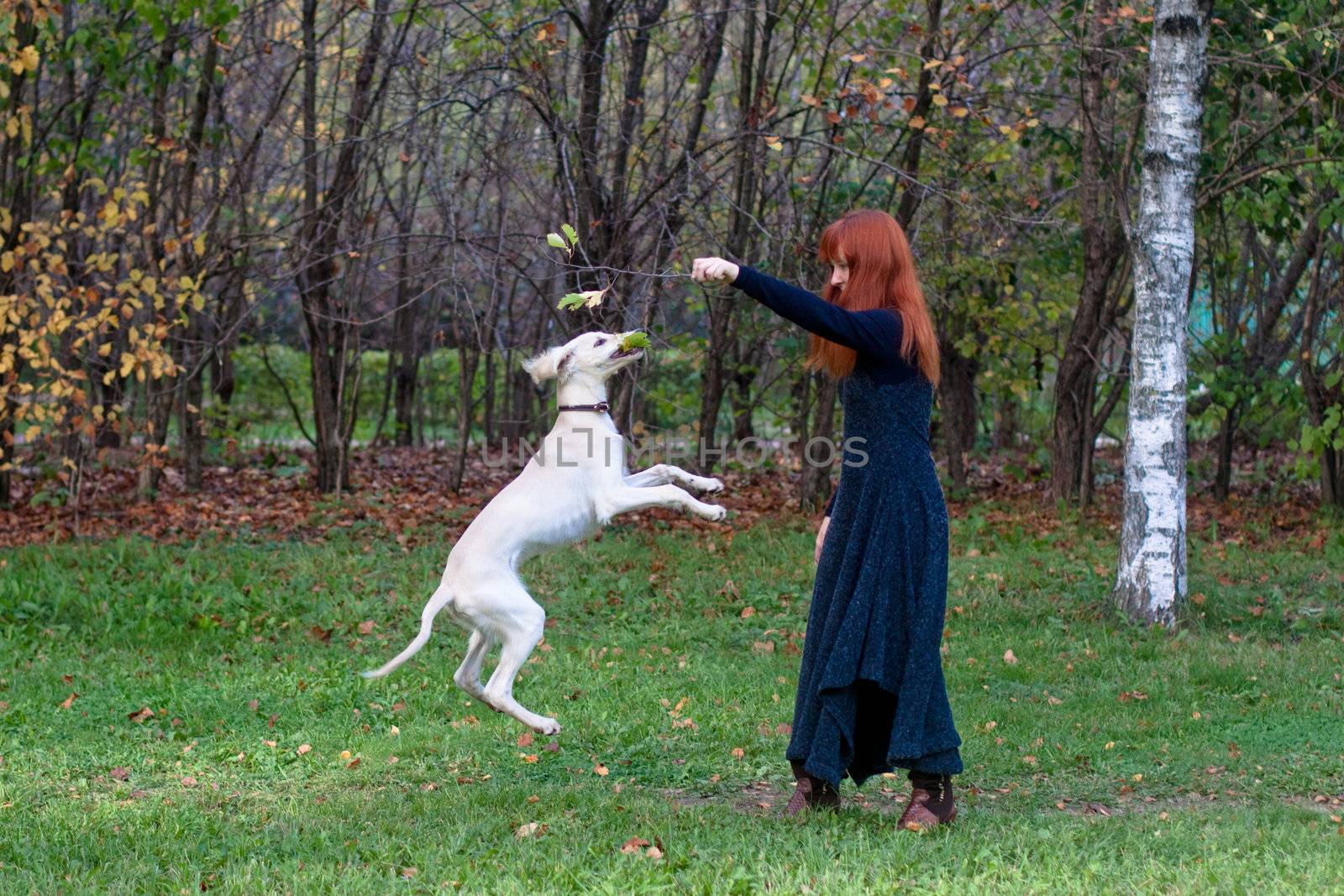 A girl in a black dress and white saliki pup in a forest 
