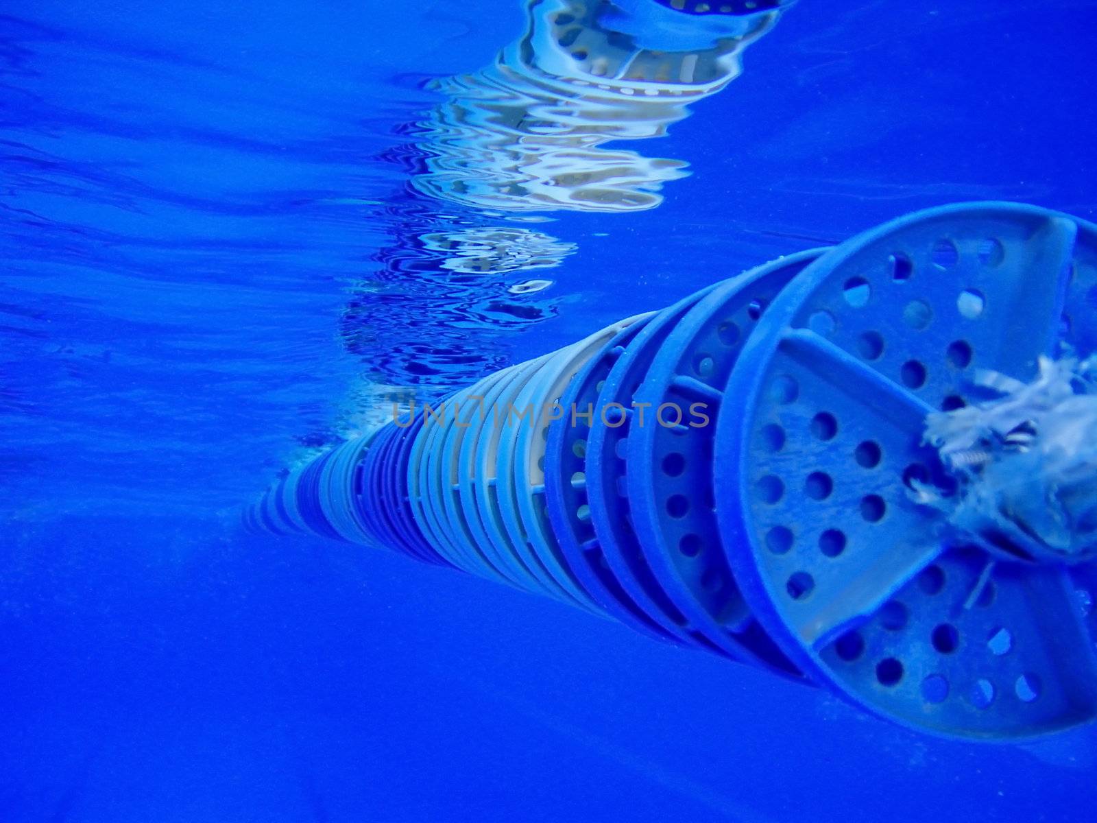 Underwatershot of blue and white swimming lane in pool