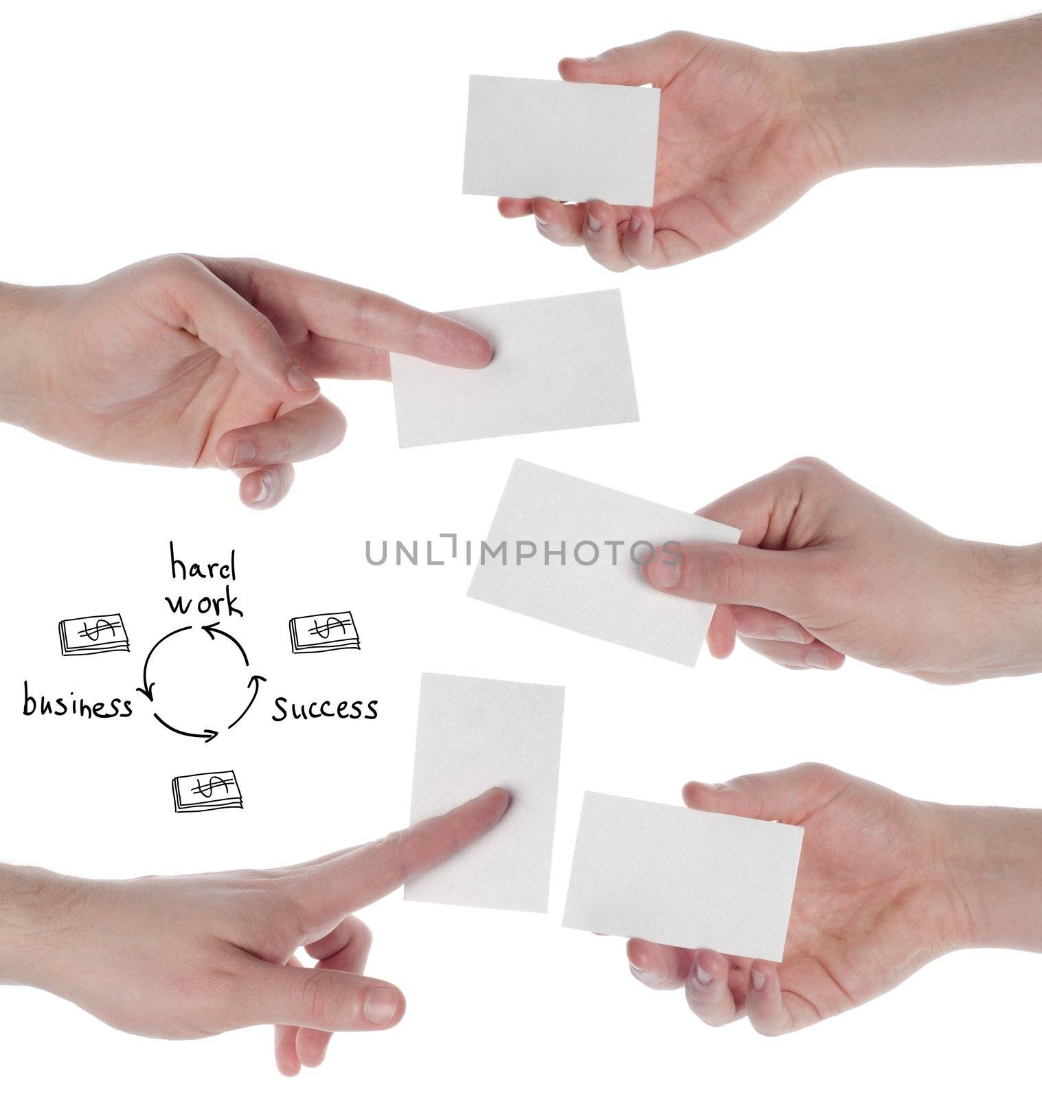 Hands hold business cards on white background